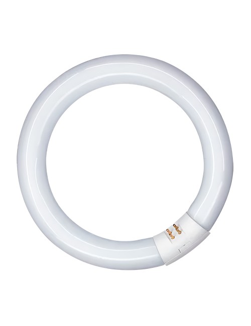 Tubo fluorescente circular 32w, g10q, 6500 k luz fria ø300 mm