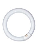 Tubo fluorescente circular 40w, g10q, 6500 k luz fria ø400 mm
