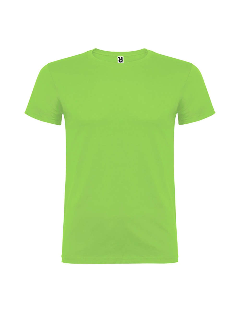 Camiseta beagle verde oasis t.2xl