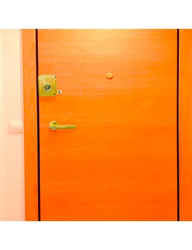 Cerradura sobreponer crs02 dcha 50 x 100 mm pintado oro