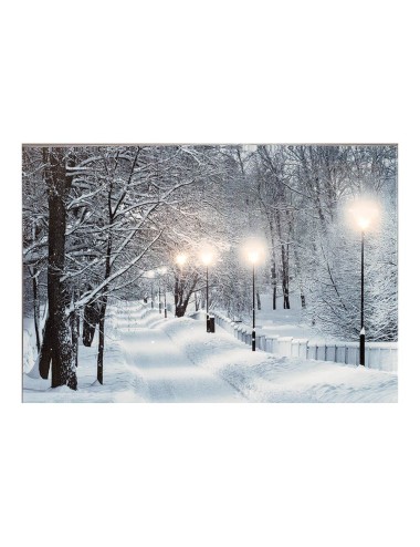 Cuadro led paisajes nevados 58x1,5x38cm 6 leds 2 modelos surtidos
