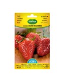Sobre con semillas de fresones 4 estaciones