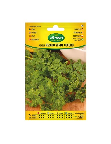 Sobre con semillas de perejil rizado verde oscuro