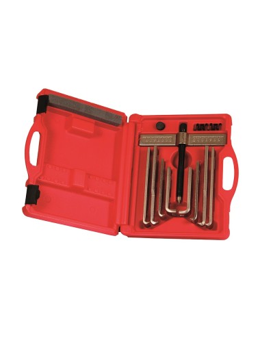 Extractor múltiple serie 1800c de 8 patas en maleta