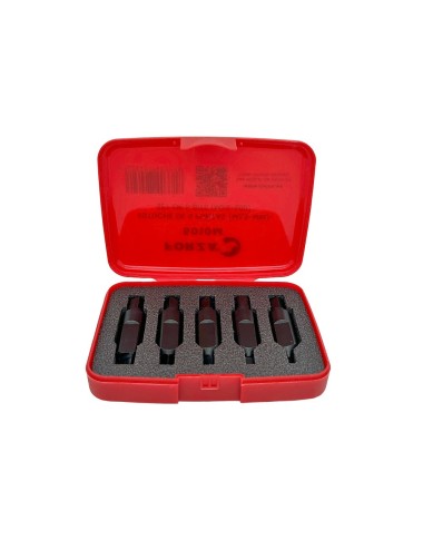 Puntas extractoras m2,5-m10 phillips/allen, 5010m, juego de 5 piezas