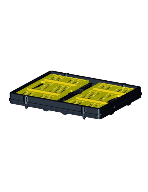 CAJA PLEGABLE SXWTD-FT505 -...