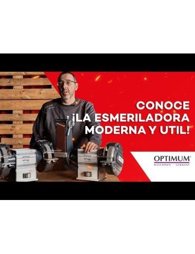 Esmeriladora Combinada GU 25B (400V)