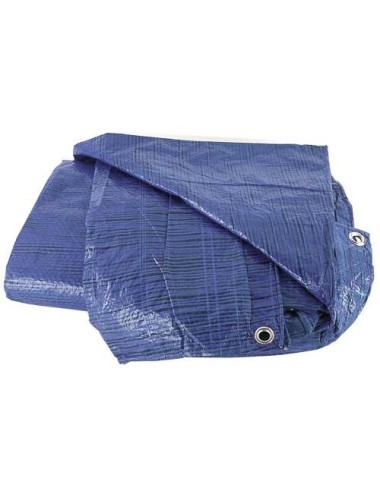 Toldo de Plástico Ligero Azul  5x8 m