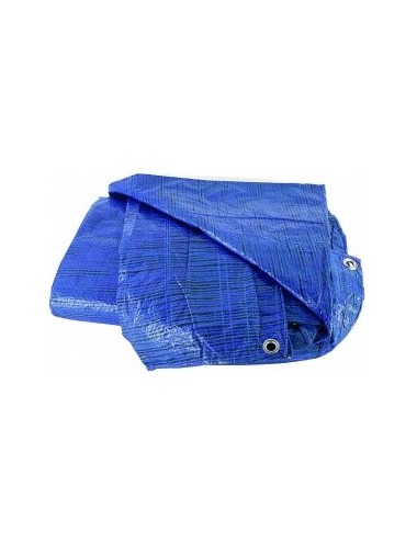 Toldo de Plástico Ligero Azul  3x5 m