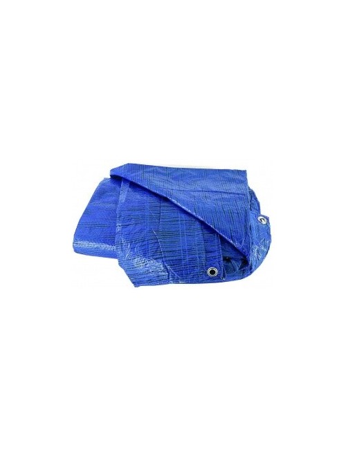 Toldo de Plástico Ligero Azul  3x5 m