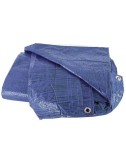 Toldo de Plástico Ligero Azul  6x10 m