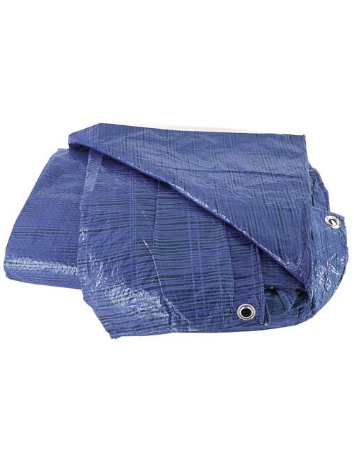 Toldo de Plástico Ligero Azul  2x3 m